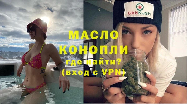 молекула духа Болотное