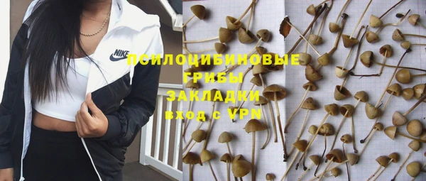 соль курить ск Пестово