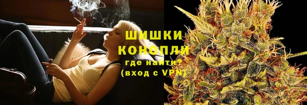 Альфа ПВП Пересвет