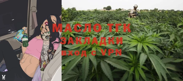 Альфа ПВП Пересвет