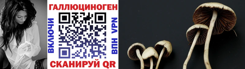 наркотики  это Telegram  гидра ссылка  Псилоцибиновые грибы мицелий  Тайга 